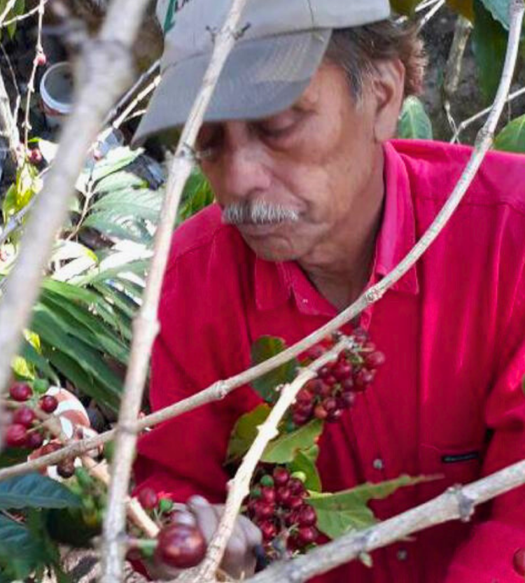 GENARO JUÁREZ CLARO