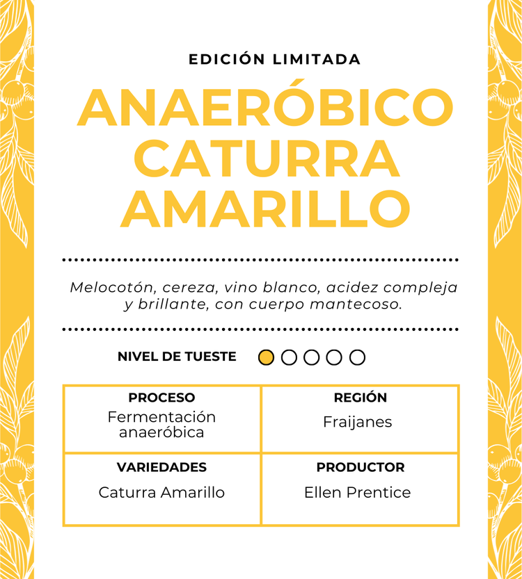 ANAERÓBICO CATURRA AMARILLO 300g
