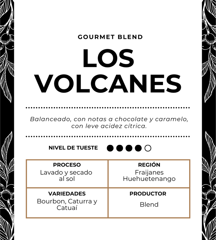 LOS VOLCANES