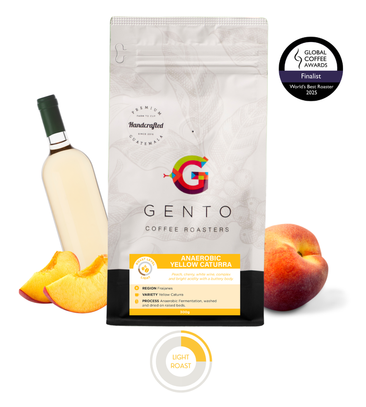 ANAERÓBICO CATURRA AMARILLO 300g
