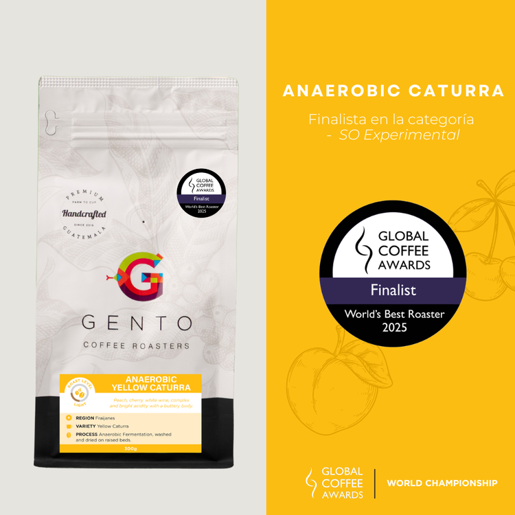 ANAERÓBICO CATURRA AMARILLO 300g