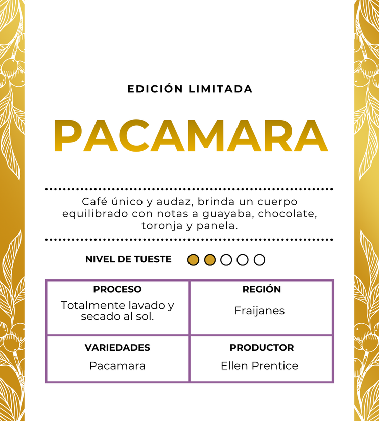 GRAND CRU SERIES - PACAMARA 8oz (Edición Limitada)