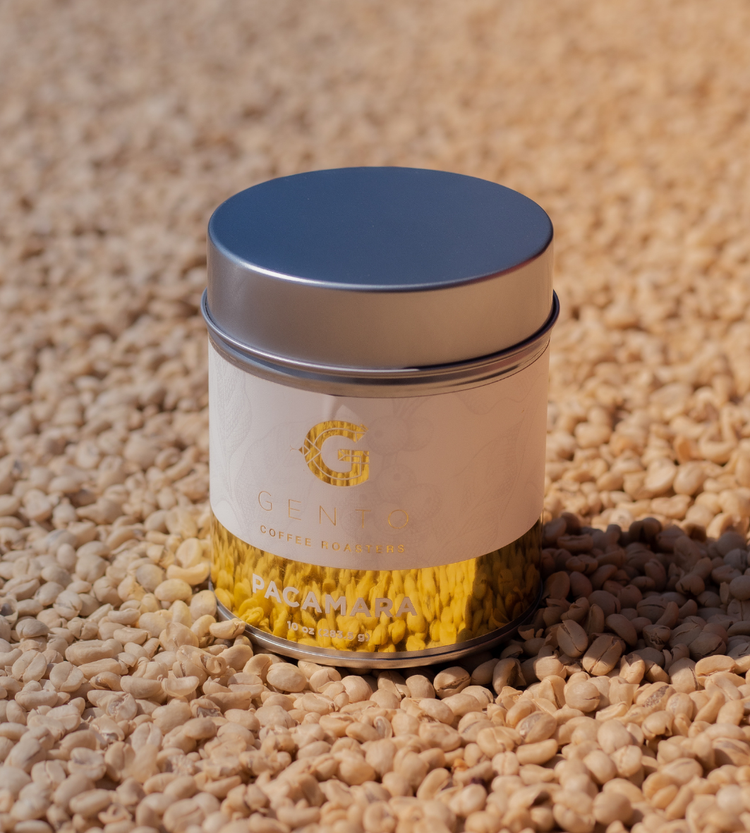 GRAND CRU SERIES - PACAMARA 8oz (Edición Limitada)