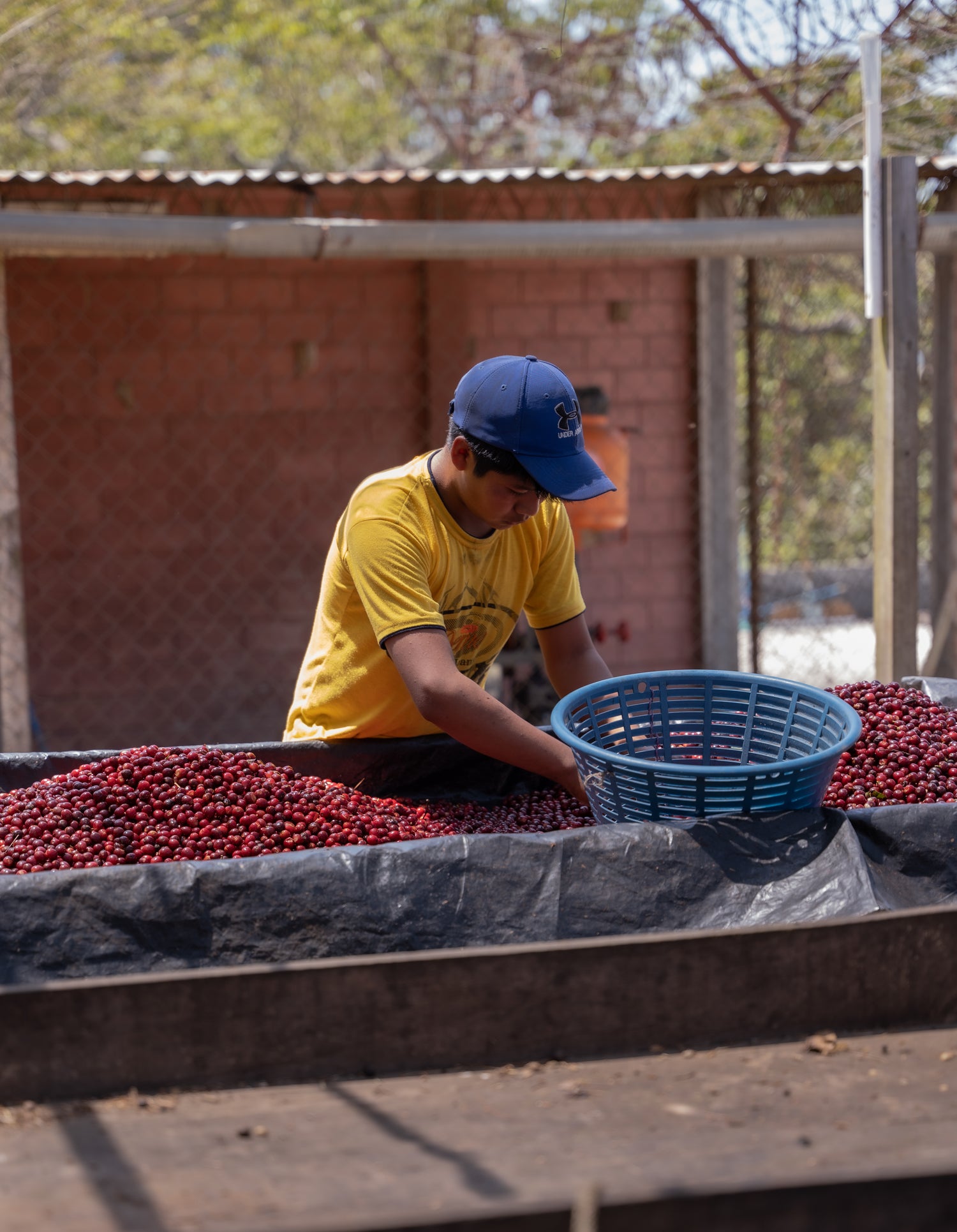Finca de Dios-24.JPG