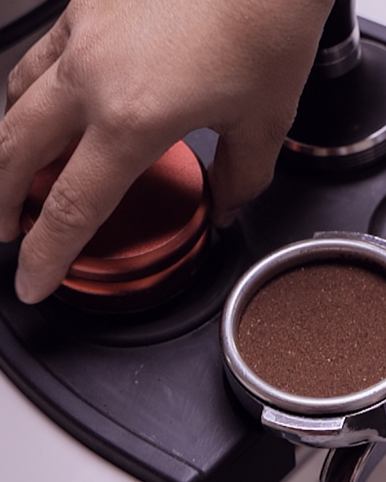 Barismo Básico: Introducción a bebidas a base de café y Latte Art