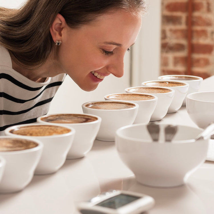 Experiencia sensorial: Introducción Cata de cafés especiales