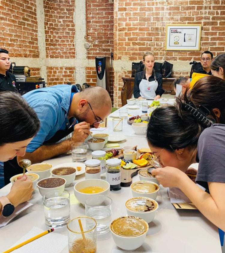 Experiencia sensorial: Introducción Cata de cafés especiales