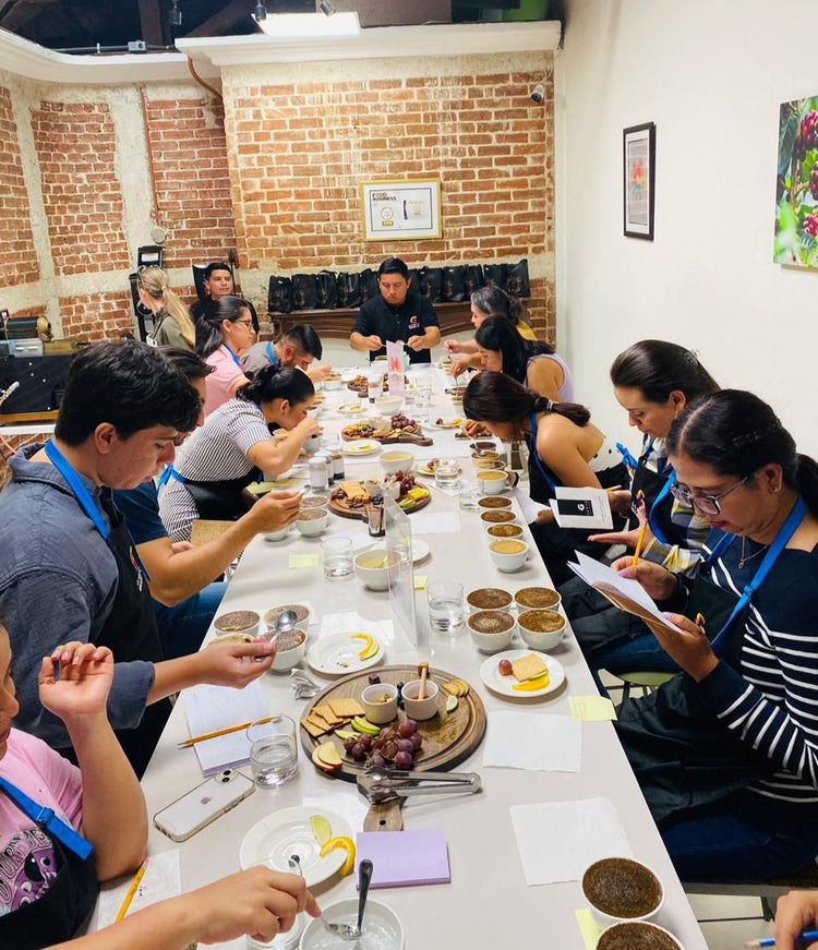 Experiencia sensorial: Introducción Cata de cafés especiales