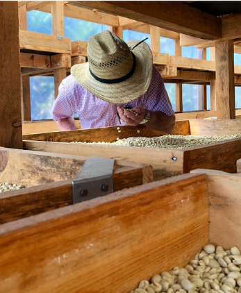 ¿QUÉ HACE ESPECIAL AL CAFÉ DE ESPECIALIDAD?