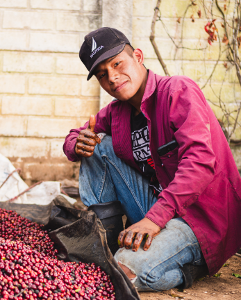 LOS BENEFICIOS DEL CAFÉ TOSTADO POR PRODUCTORES