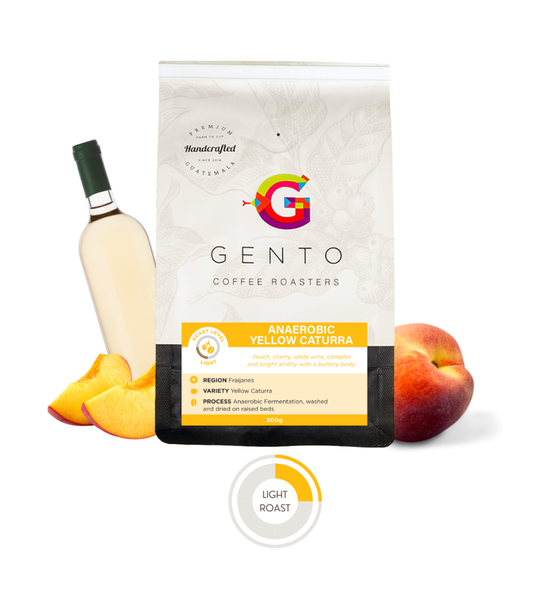 ANAERÓBICO CATURRA AMARILLO 300g