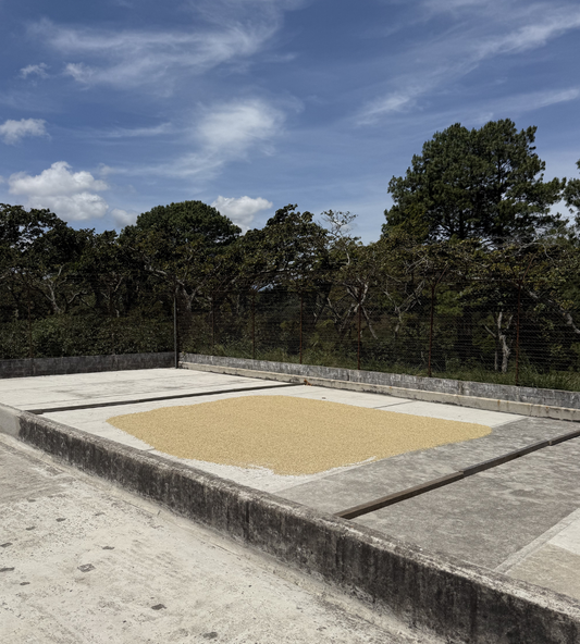 FINCA DE DIOS