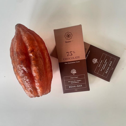 CHOCOLATE DE ORIGEN ÚNICO KACAOU