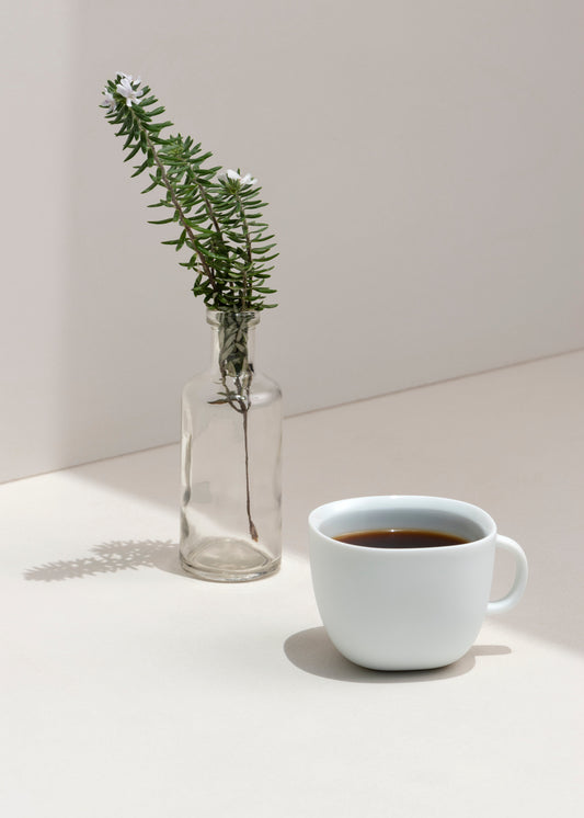 MARIDAJE CAFÉ + CHOCOLATE | ORIGIN