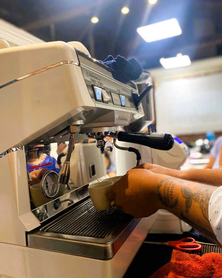 Barismo Básico: Introducción a bebidas a base de café y Latte Art