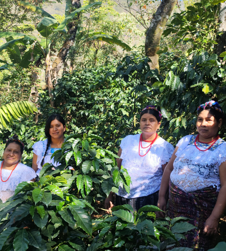 MARISELA 300G