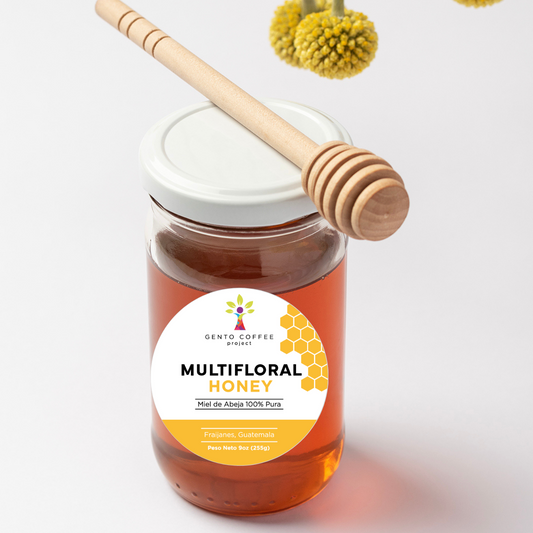 MIEL ARTESANAL 100% ABEJAS  9OZ