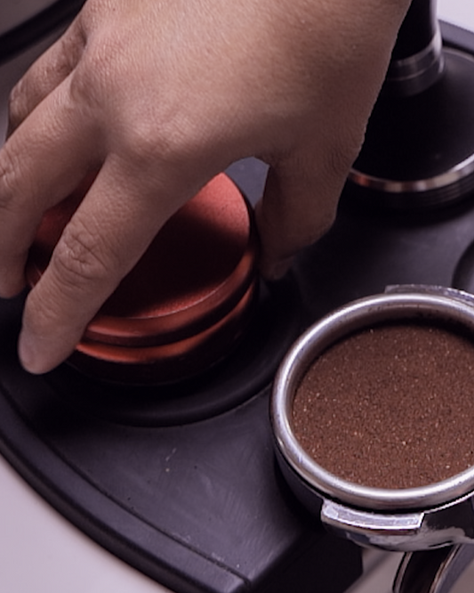 Barismo Básico: Introducción a bebidas a base de café y Latte Art