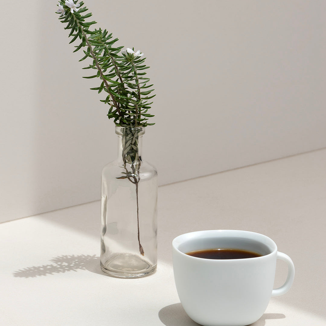 MARIDAJE CAFÉ + CHOCOLATE | ORIGIN