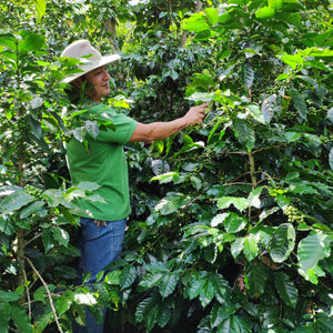FERNANDO LÓPEZ 300g