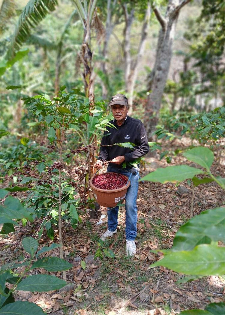 GENARO JUÁREZ MEDIO