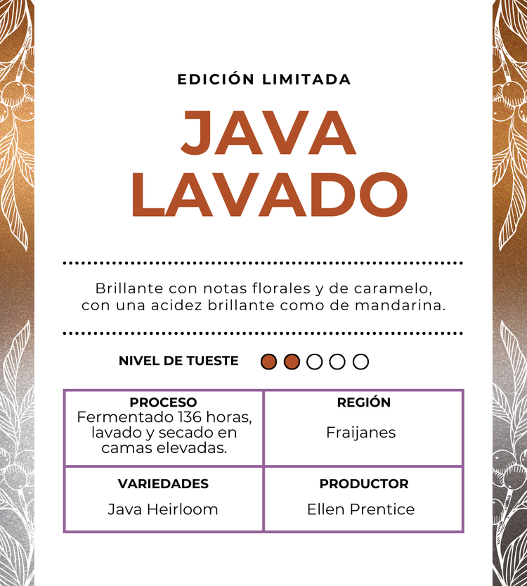 GRAND CRU SERIES - JAVA LAVADO 8oz (Edición Limitada)
